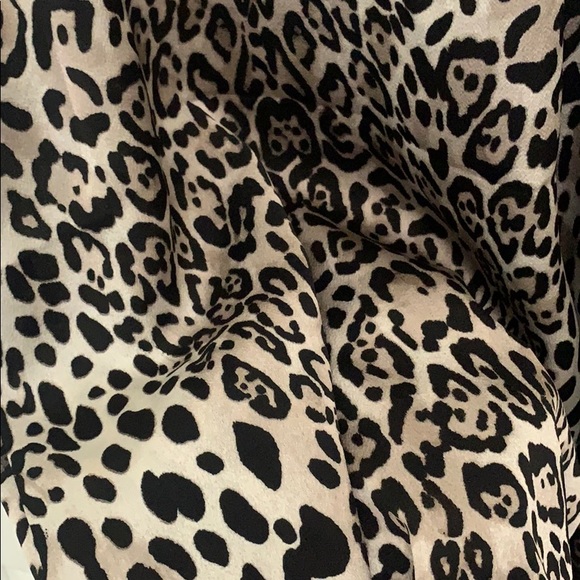 Leopard tank - Picture 5 of 5